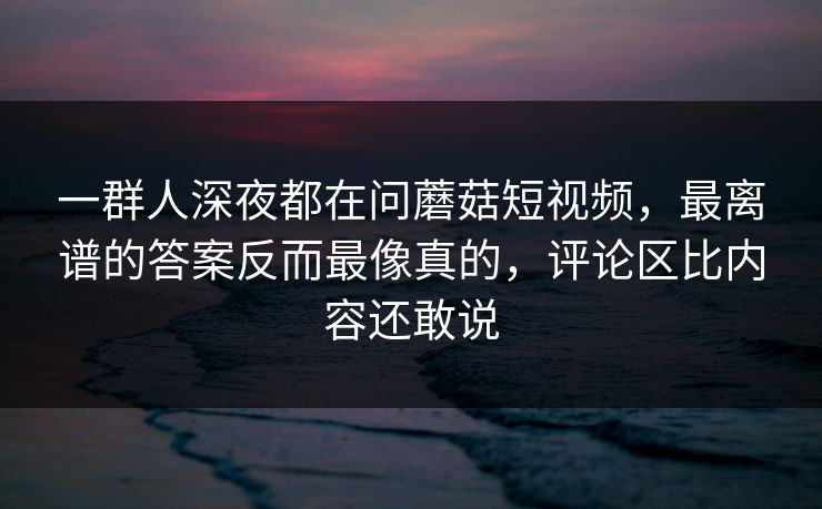 一群人深夜都在问蘑菇短视频，最离谱的答案反而最像真的，评论区比内容还敢说