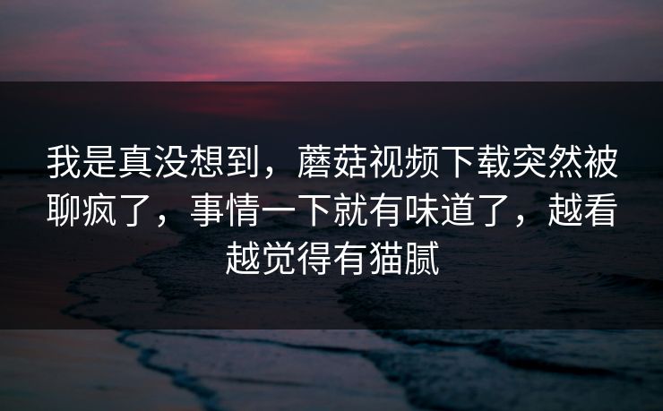 我是真没想到，蘑菇视频下载突然被聊疯了，事情一下就有味道了，越看越觉得有猫腻