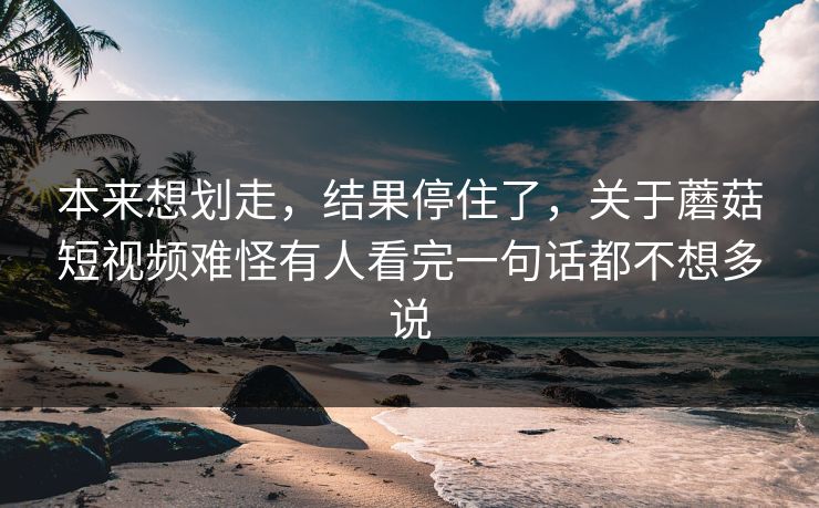本来想划走，结果停住了，关于蘑菇短视频难怪有人看完一句话都不想多说