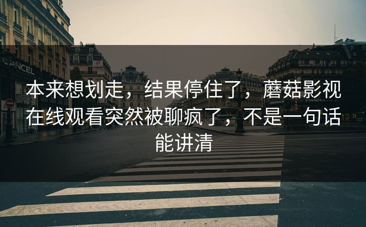 本来想划走，结果停住了，蘑菇影视在线观看突然被聊疯了，不是一句话能讲清