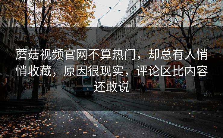 蘑菇视频官网不算热门，却总有人悄悄收藏，原因很现实，评论区比内容还敢说