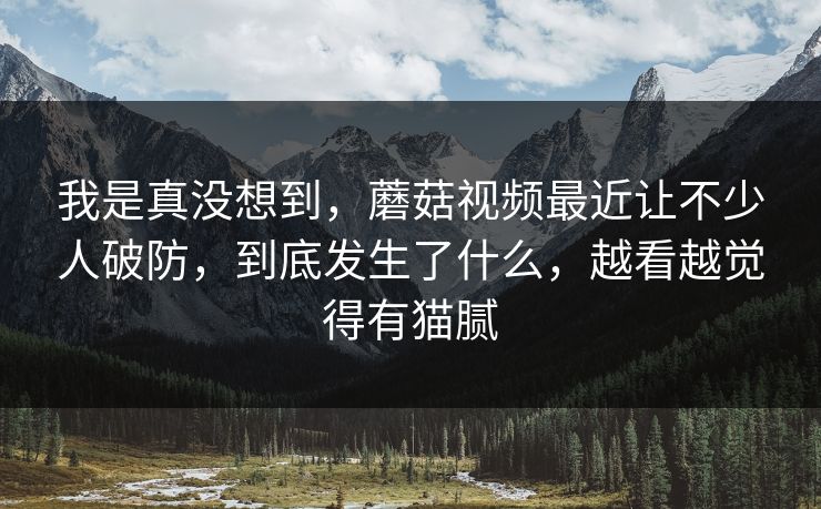 我是真没想到,蘑菇视频最近让不少人破防,到底发生了什么,越看越觉得有猫腻 我是真没想到,蘑菇视频最近让不少人破防,到底发生了什么,越看越觉得有猫腻