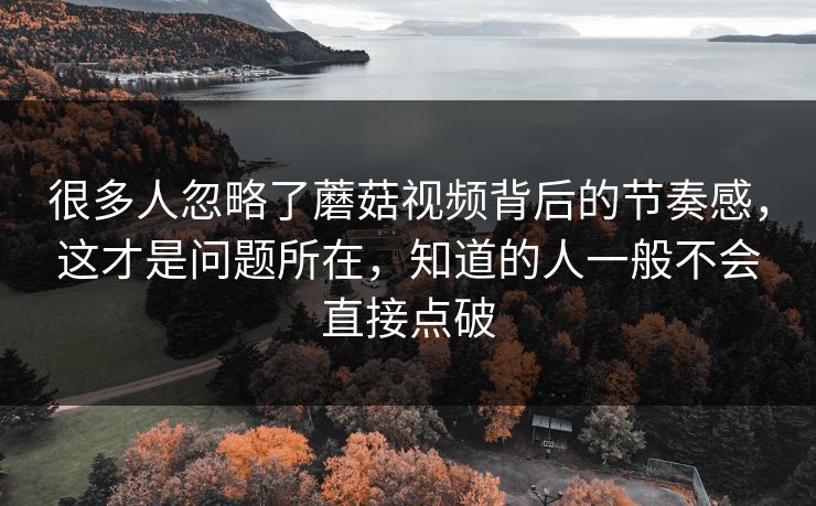 很多人忽略了蘑菇视频背后的节奏感，这才是问题所在，知道的人一般不会直接点破