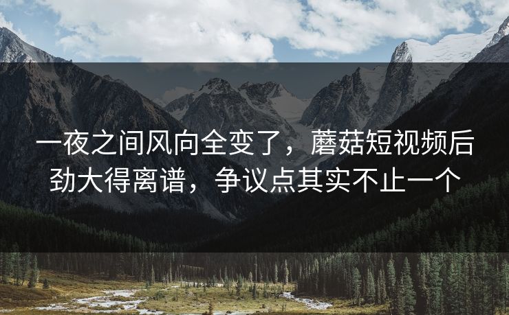 一夜之间风向全变了，蘑菇短视频后劲大得离谱，争议点其实不止一个