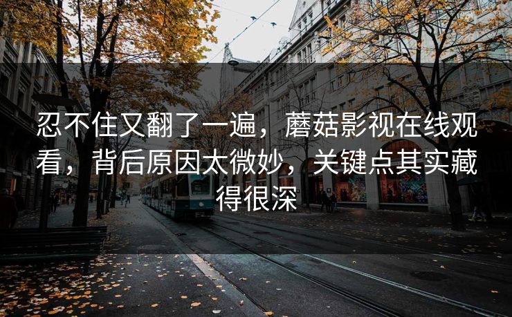 忍不住又翻了一遍，蘑菇影视在线观看，背后原因太微妙，关键点其实藏得很深