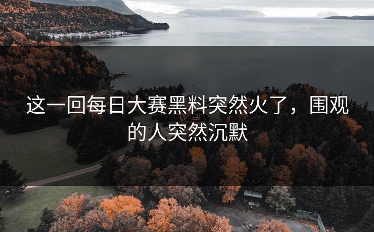 这一回每日大赛黑料突然火了，围观的人突然沉默