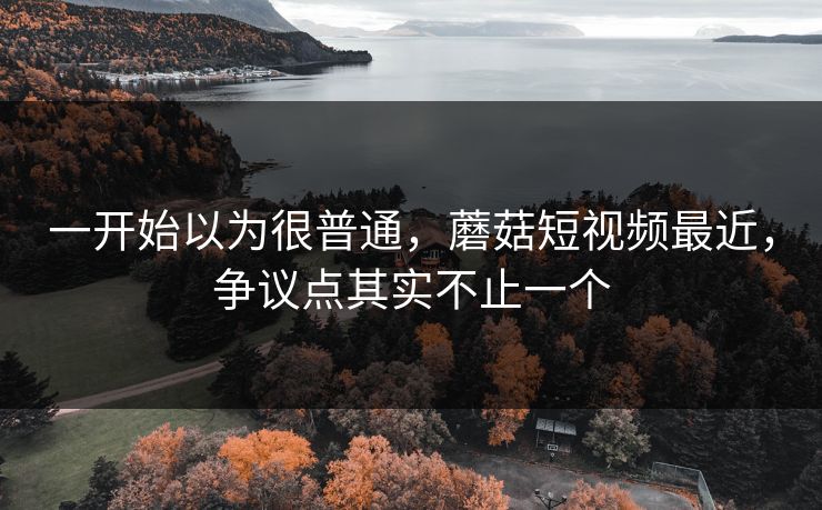 一开始以为很普通，蘑菇短视频最近，争议点其实不止一个
