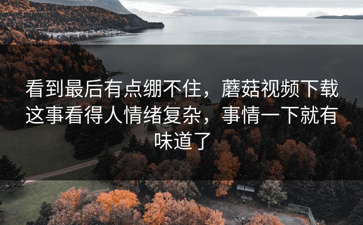 看到最后有点绷不住，蘑菇视频下载这事看得人情绪复杂，事情一下就有味道了
