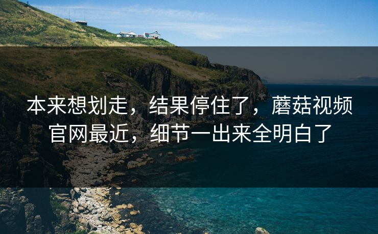 本来想划走，结果停住了，蘑菇视频官网最近，细节一出来全明白了