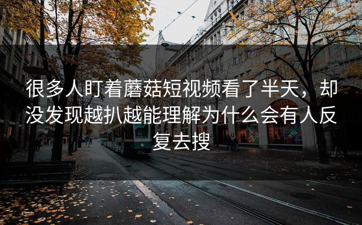 很多人盯着蘑菇短视频看了半天，却没发现越扒越能理解为什么会有人反复去搜